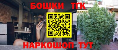 индика Апшеронск