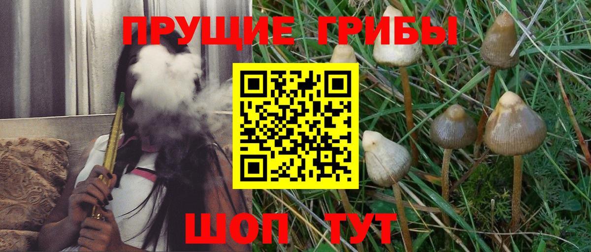 Видное  Галлюциногенные грибы ЛСД  Вход с VPN 